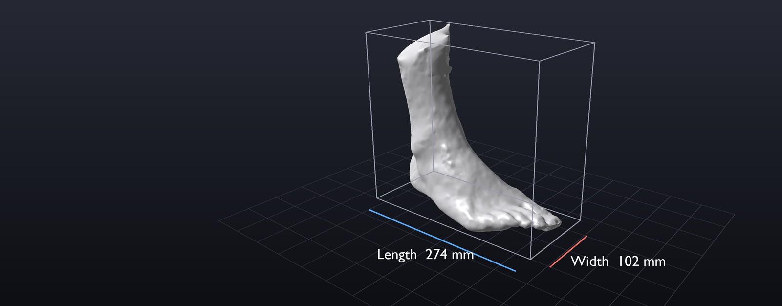 Scanning Feet and Other Body Parts with an iPhone - Knees, Arms, Hands and Torsos