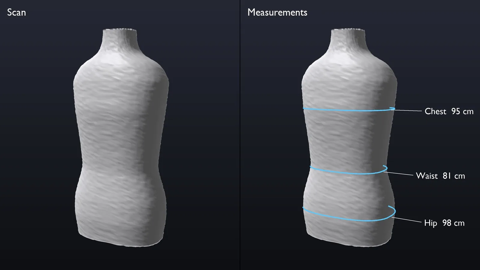 A torso scan and the chest, waist and hip girths measured on it