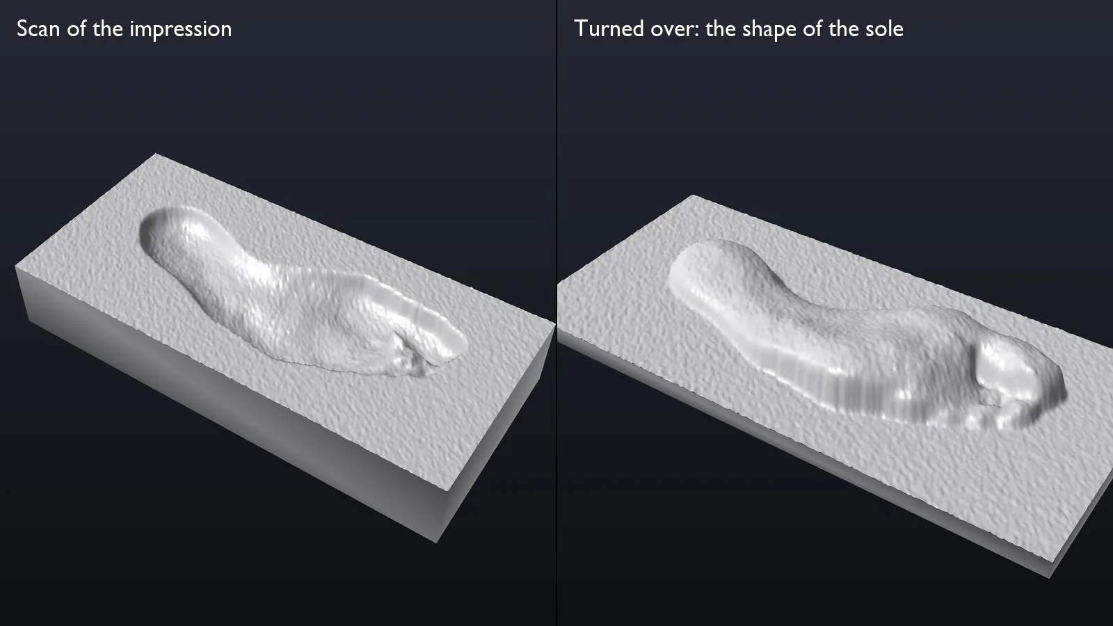 A scan of the foam impression, and the same surface turned over