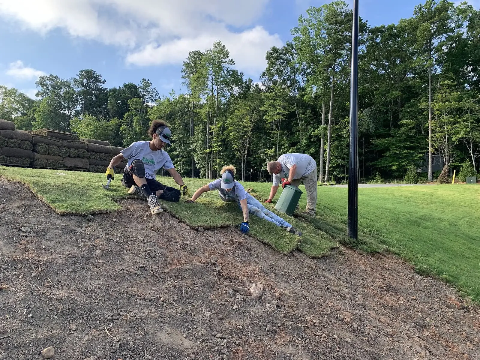 A crew laying rolls of sod on a prepared lawn