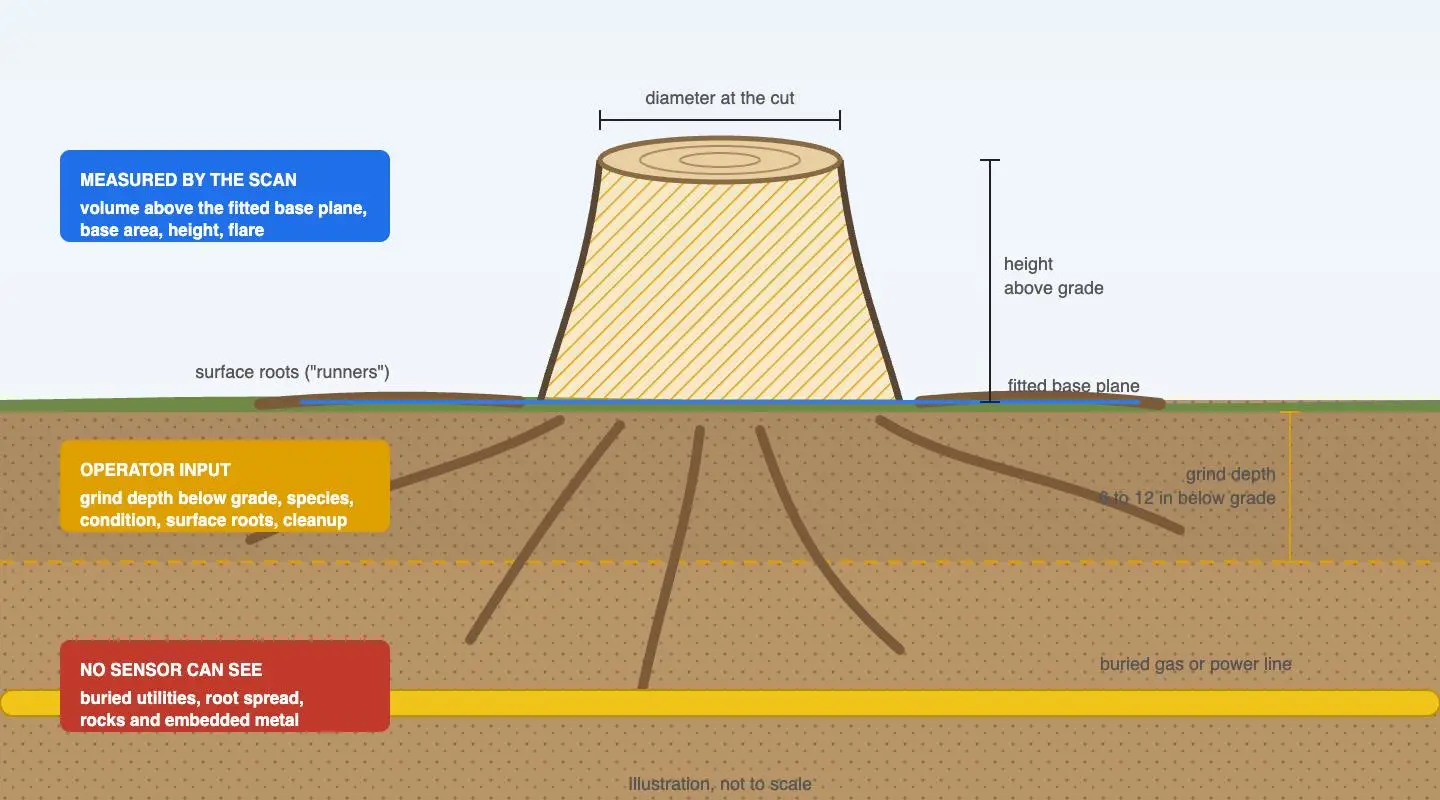 A cross-section diagram of a stump showing what the scan measures above grade, the operator-entered grind depth, surface roots, and a buried utility line